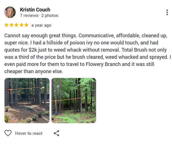 Screenshot of a positive review praising cleaned-up, affordable tree removal with before-and-after yard photos.