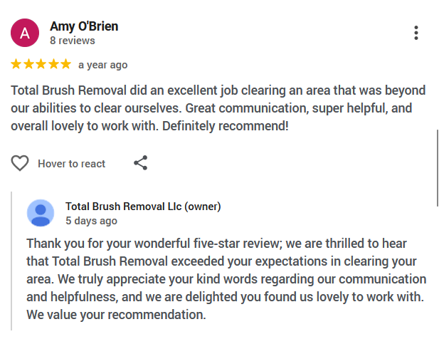 Google review praising Total Brush Removal, with a thank-you reply from the business owner
