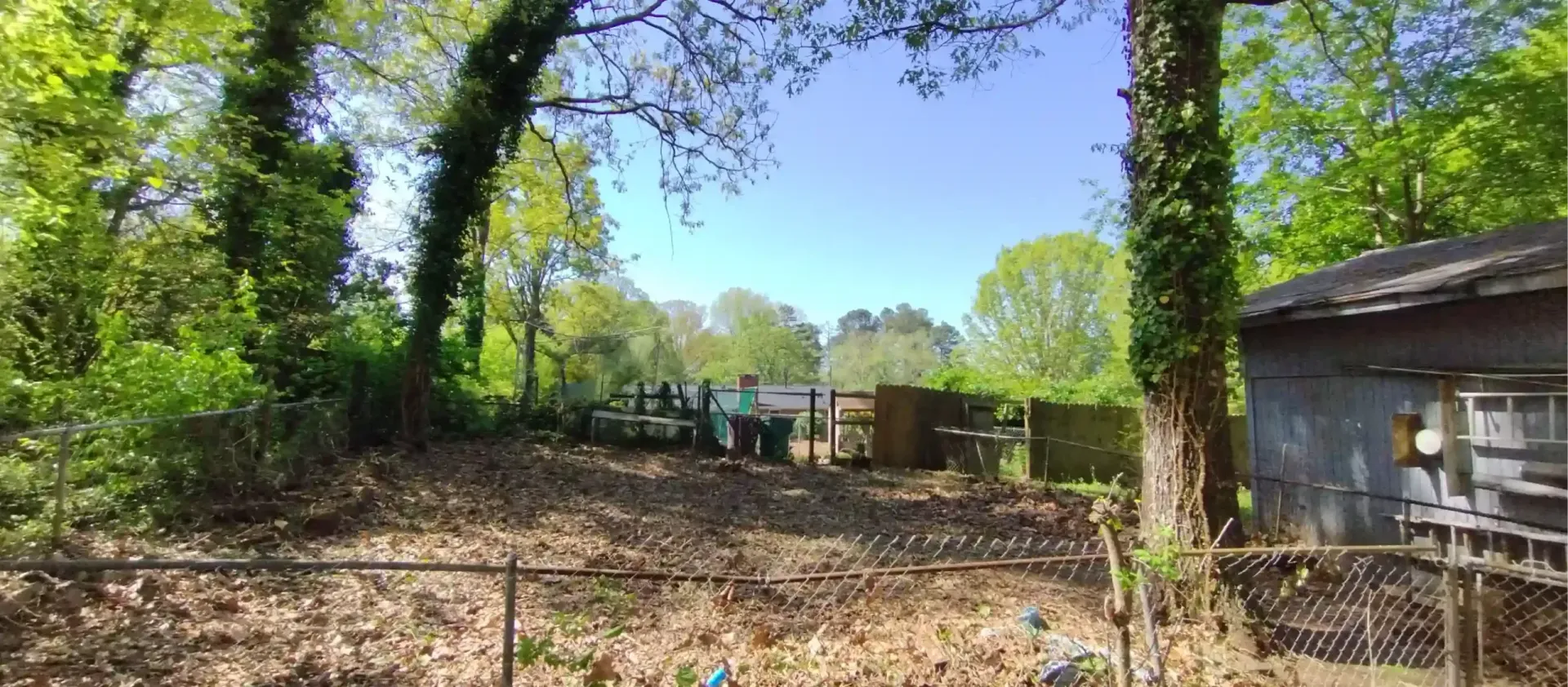 A sunlit backyard featuring a chain-link fence, leaf-covered ground, scattered equipment, and trees against a blue sky.