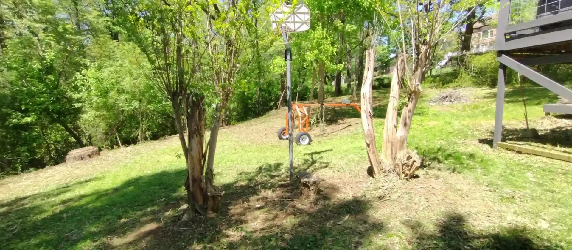 A grassy, sloped backyard features a basketball hoop, bare trees, and a wooden deck structure on the right side.