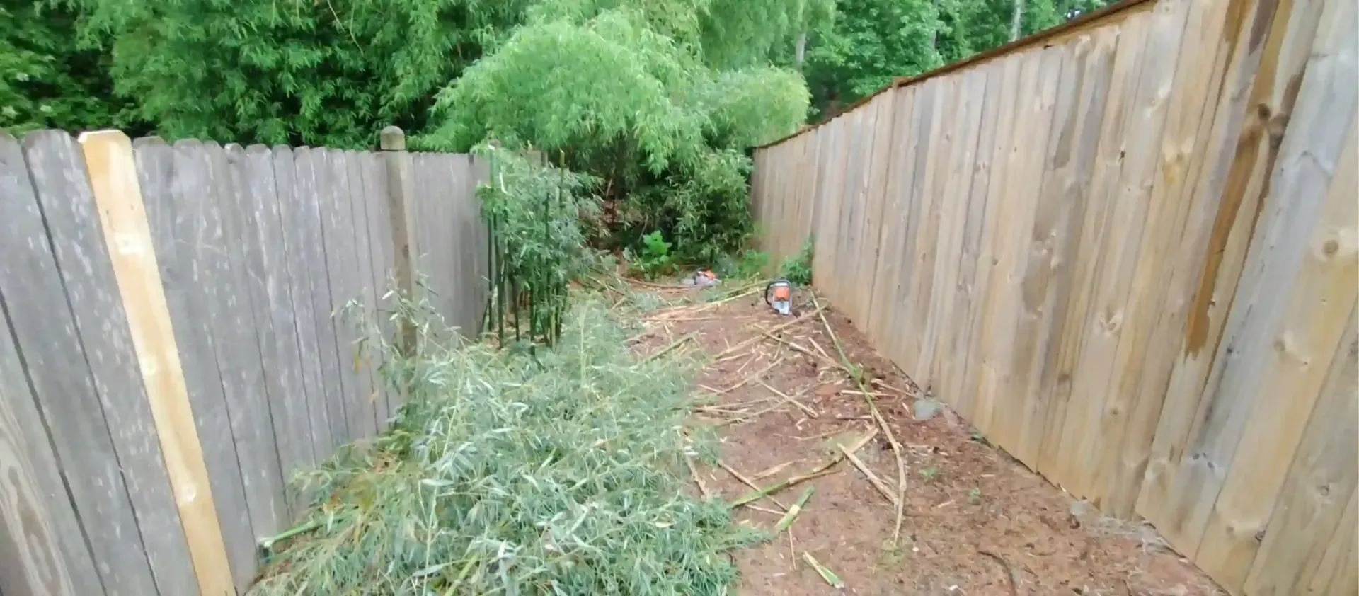 A narrow outdoor path between two tall wooden fences, surrounded by green trees and ground plants.