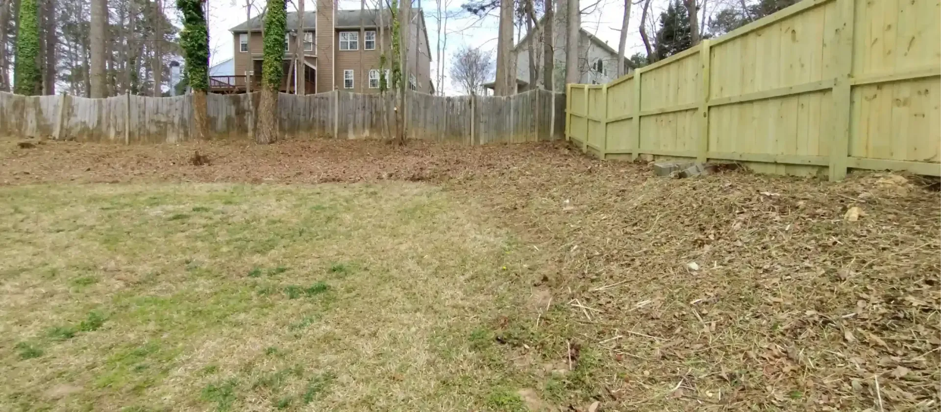 A backyard scene featuring a grassy area next to a leaf-covered slope, bordered by a wooden fence and distant houses.