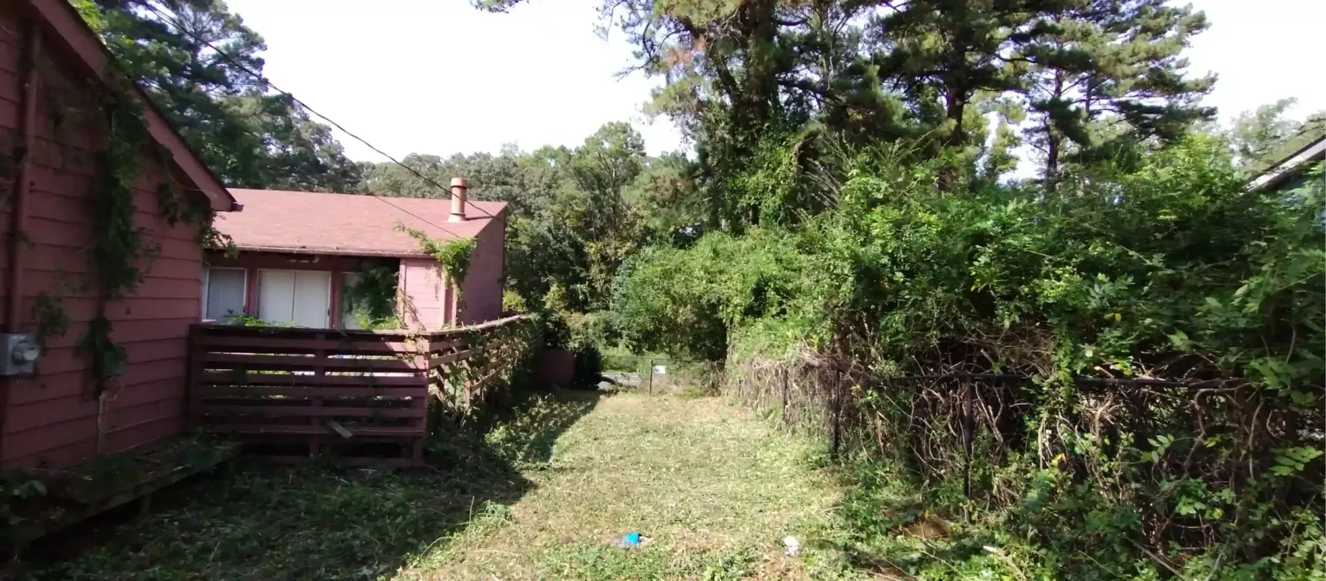 A view of a reddish-brown house with a wooden deck beside an overgrown grassy yard surrounded by dense trees and shrubs.