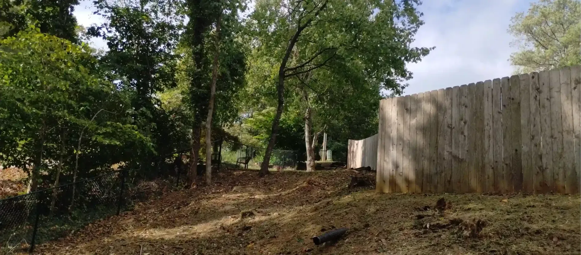 A wooden fence runs along the right side of a yard with scattered dry leaves and several trees under a blue sky.