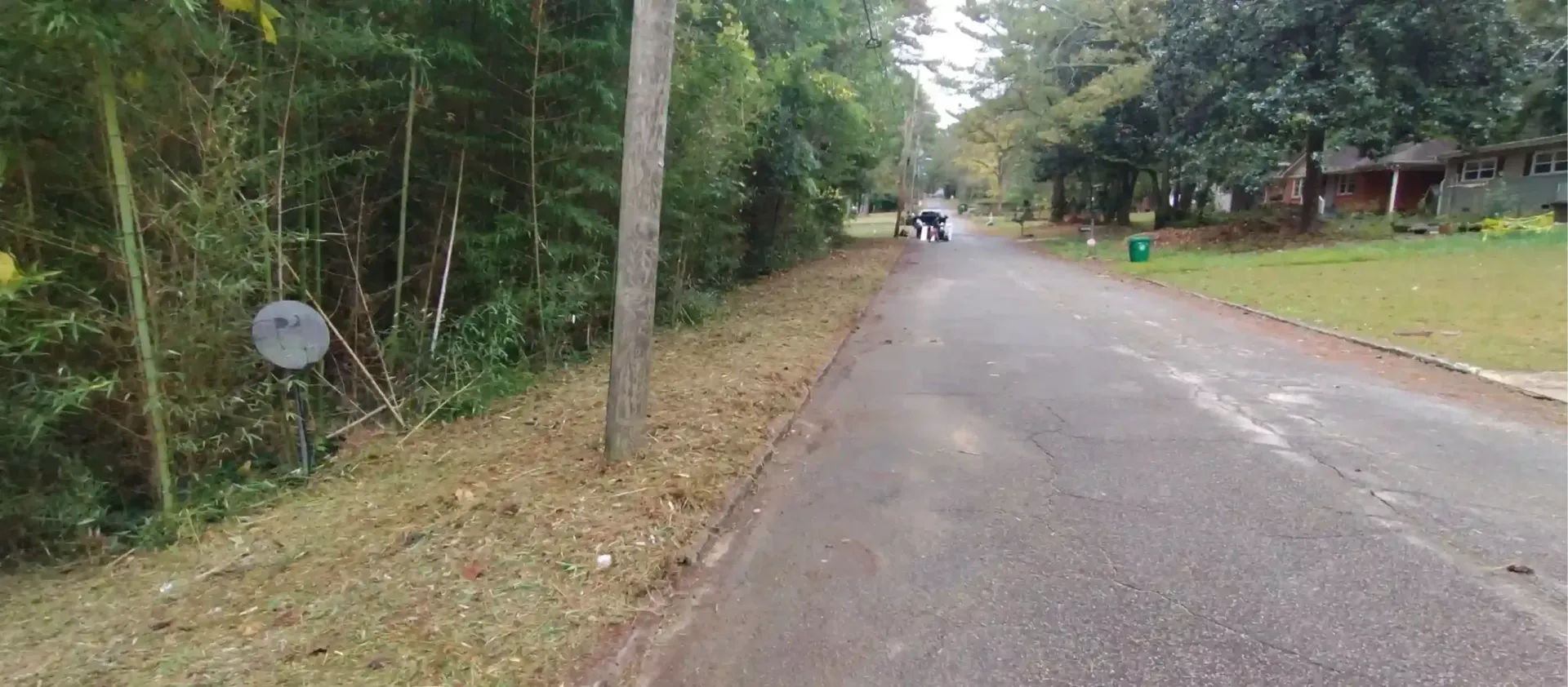 A narrow, paved road bordered by trees on the left and a grassy yard with a green bin on the right.
