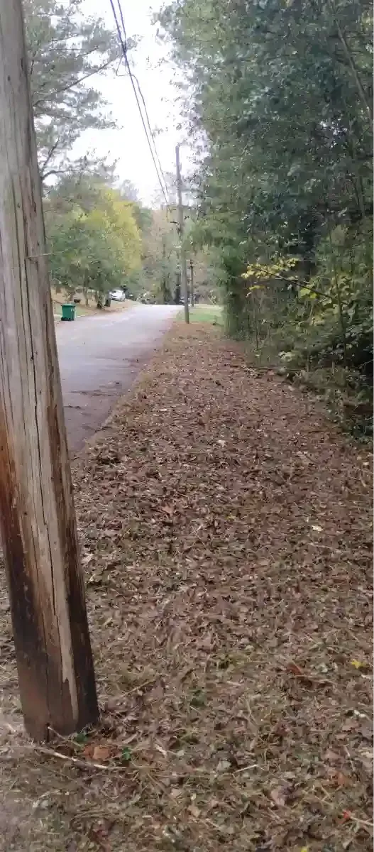A view of a road bordered by a grassy shoulder covered in fallen autumn leaves, with a utility pole in the foreground.