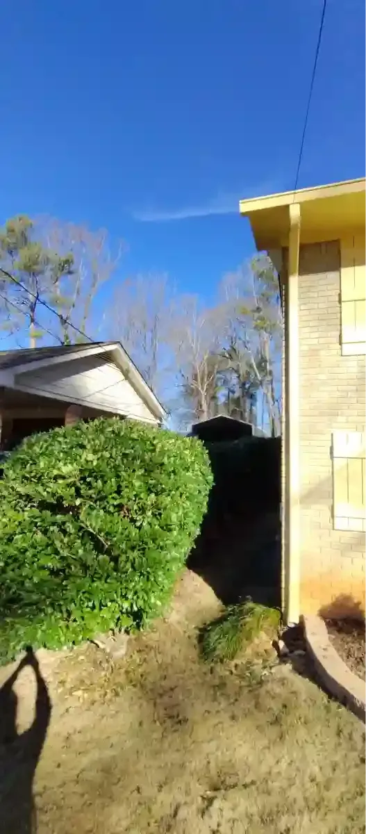 A side view of a house exterior showing a tan wall with shutters, a large green bush, and a path leading to the backyard.