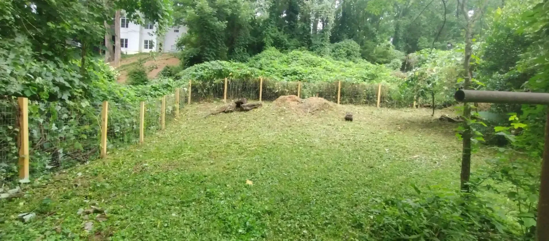 A fenced-in, clearing of mowed grass surrounded by dense green vegetation and trees, with a small pile of dirt in the center.