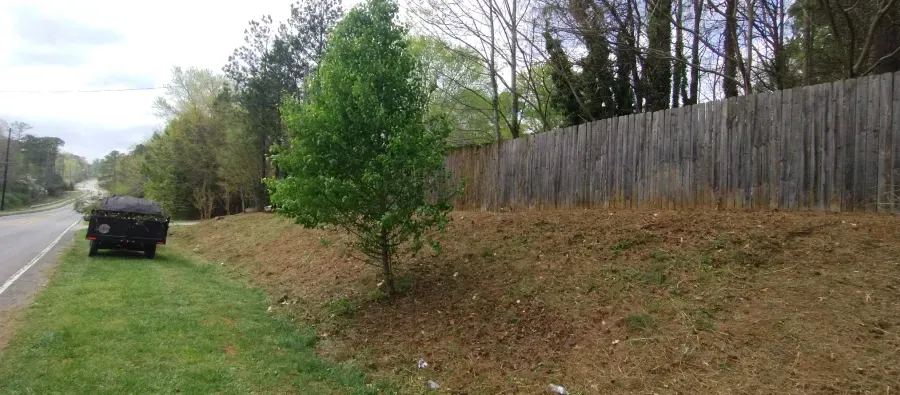 A vehicle parked on the shoulder of a road next to a grassy embankment, a small tree, and a tall wooden fence.