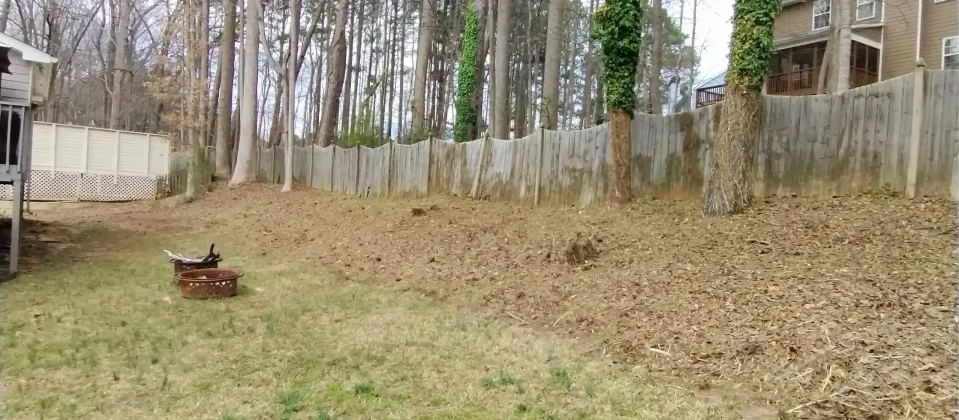 A sloping backyard covered in dry leaves with a wooden fence and tall trees in the background.