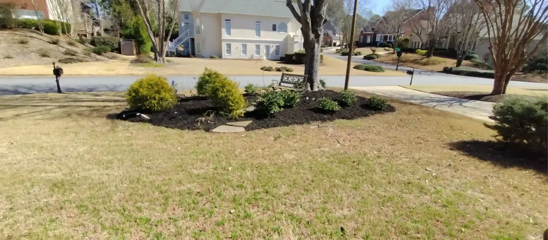 A front yard with a dark-mulched garden bed containing small shrubs, set against a suburban street and houses.