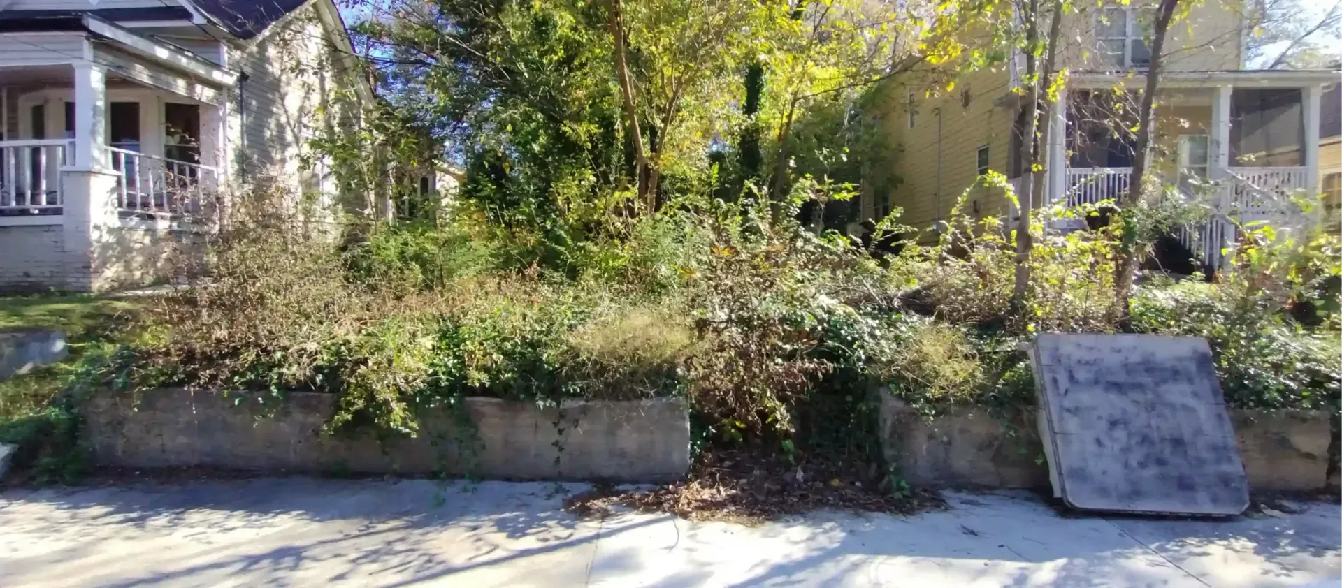 Overgrown residential front garden with low concrete retaining walls between two houses on a sunny day.