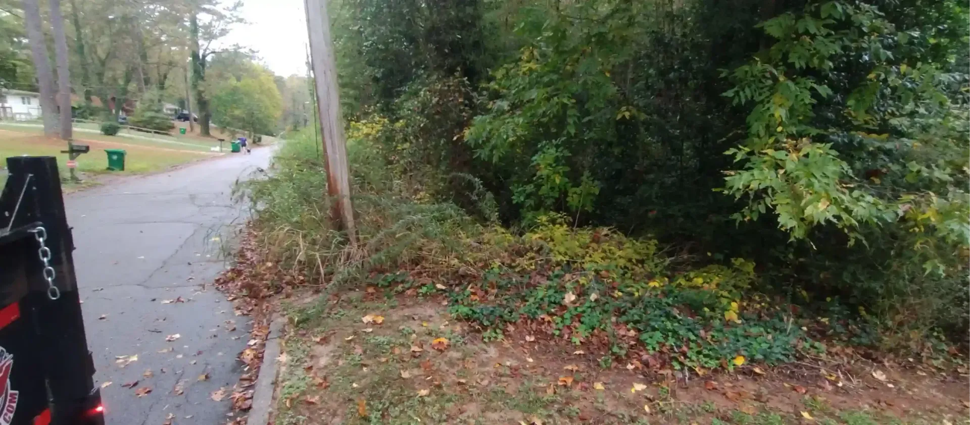 A paved neighborhood street lined with a utility pole and dense roadside vegetation during autumn.