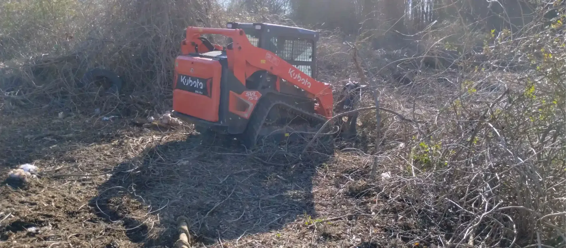 An orange skid steer loader clears dense brush and woody vegetation in an outdoor, dirt-covered field.
