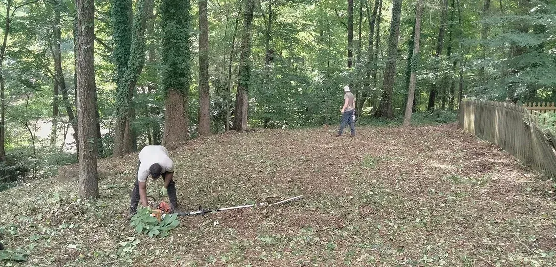 Two people work in a wooded area; one uses a chainsaw to clear brush on the ground while the other walks nearby.