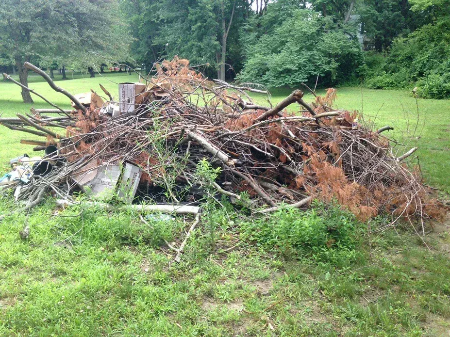 A large, unorganized pile of dry tree branches and brush sits in the middle of a grassy yard.
