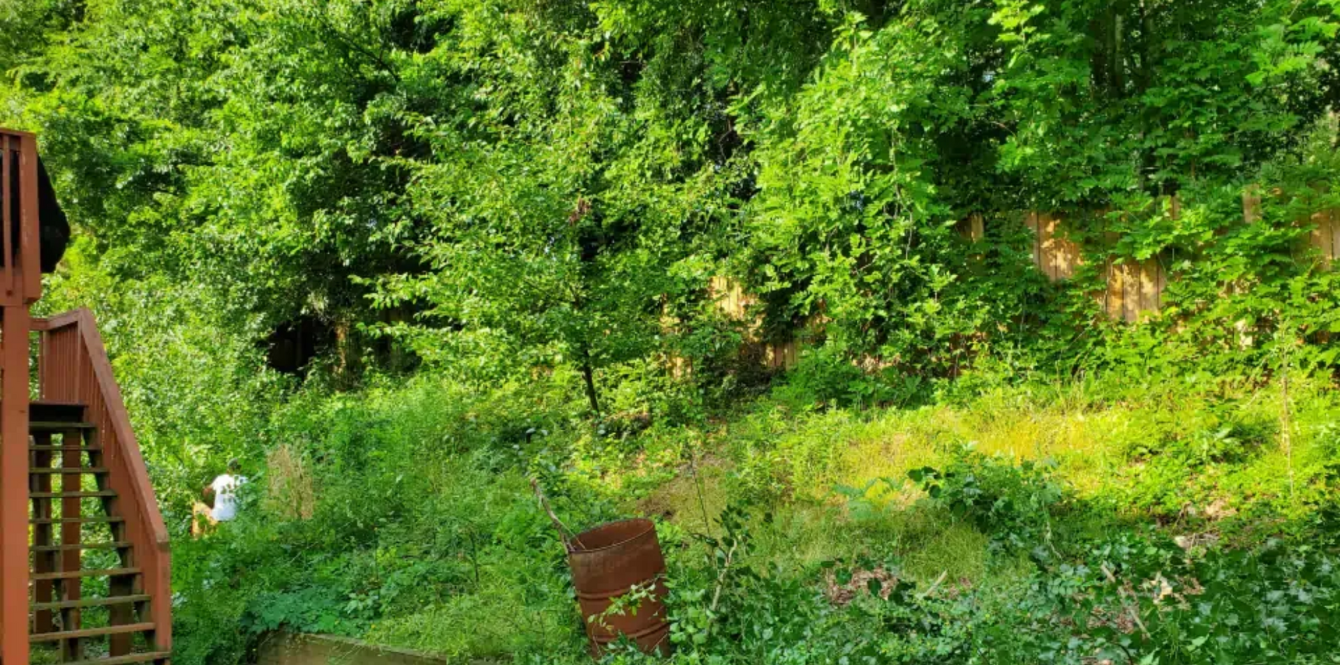 A wooden deck stairway leads into a lush, green, overgrown backyard area with a barrel and dense trees in the background.