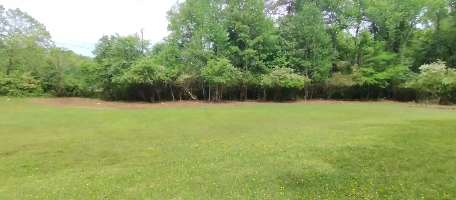 A wide, grassy lawn bordered by a dense line of green trees and bushes under a bright sky.