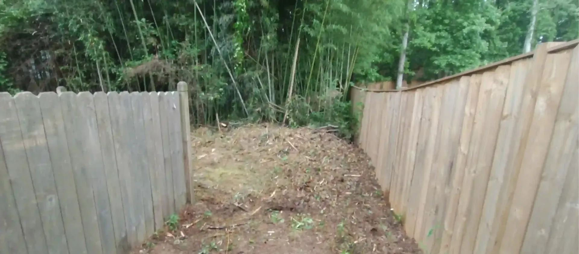 A narrow, cleared path leads toward a dense thicket of trees between two wooden privacy fences.