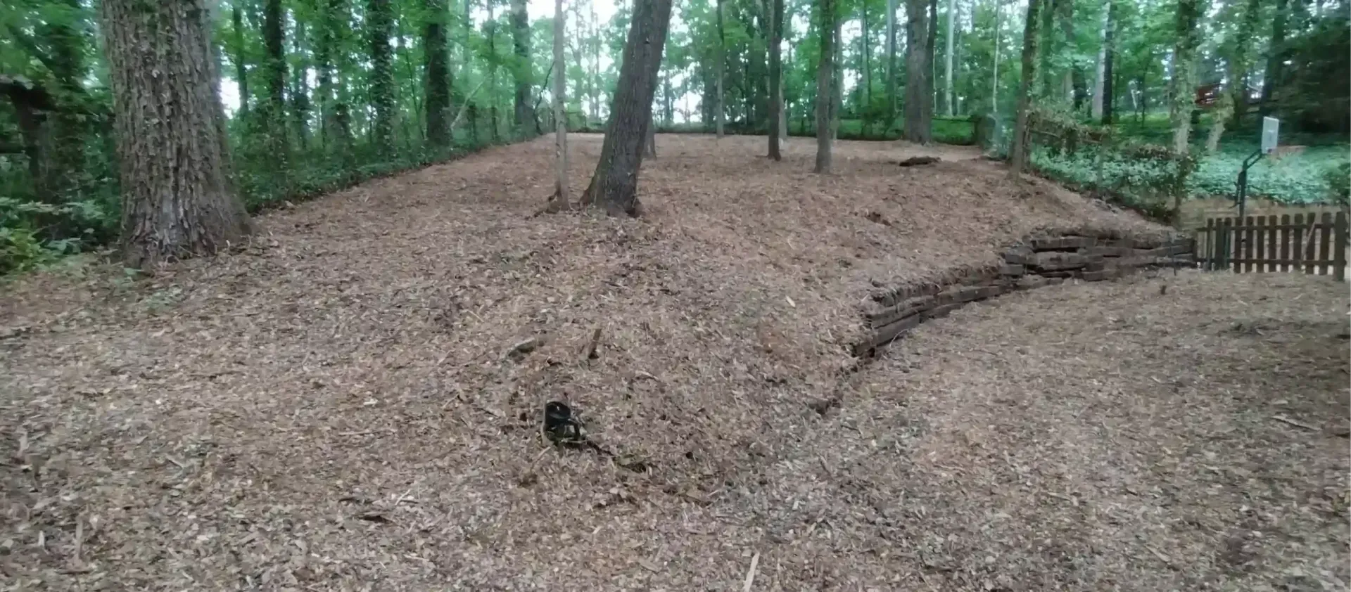 A wooded area covered in fallen brown leaves with a small wooden fence visible on the right.