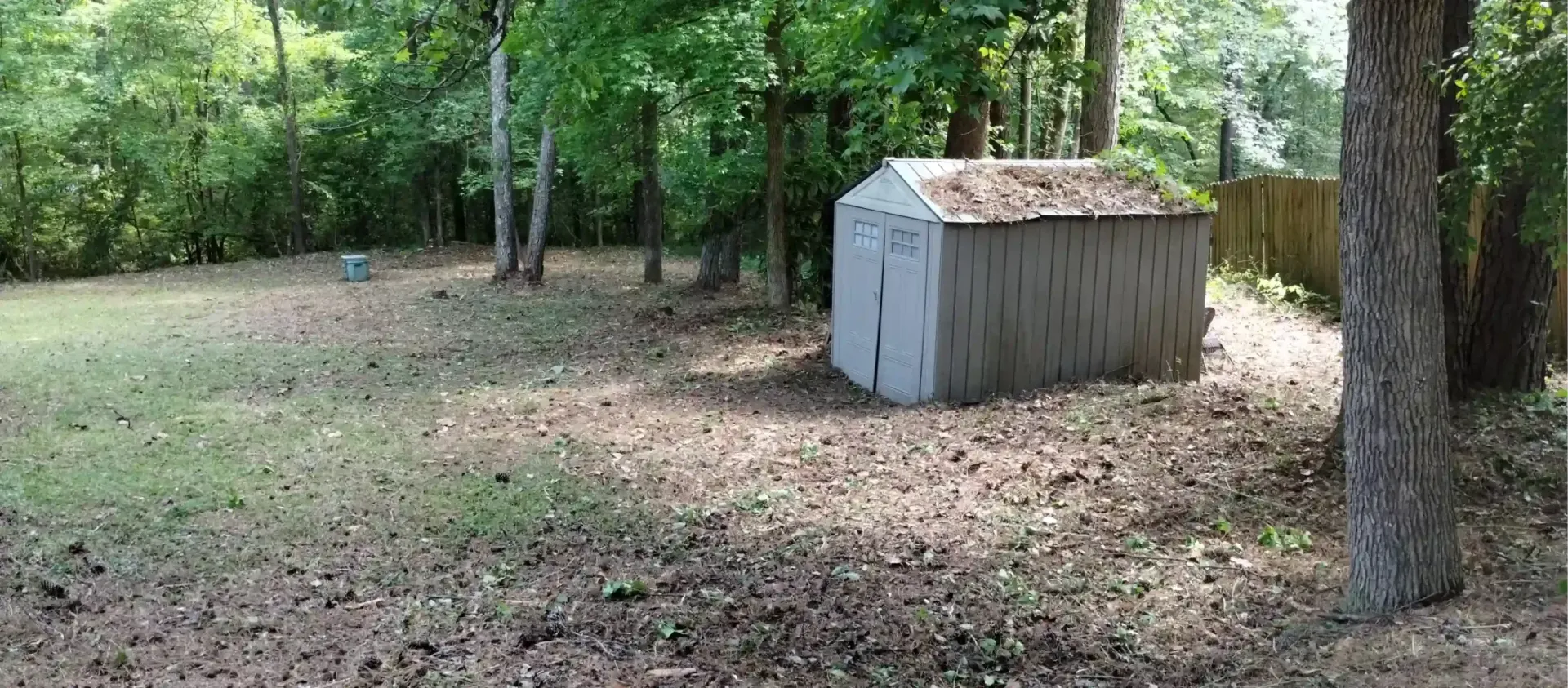 A small, weathered metal storage shed stands on a leaf-covered yard at the edge of a wooded area.