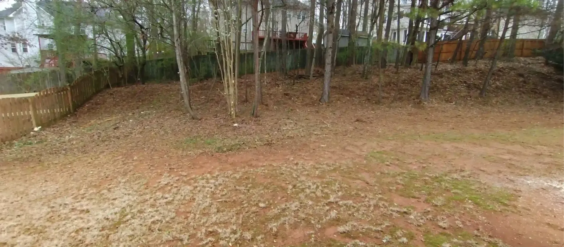 A backyard scene with reddish-brown soil, scattered dead leaves, and a line of tall trees in the background.