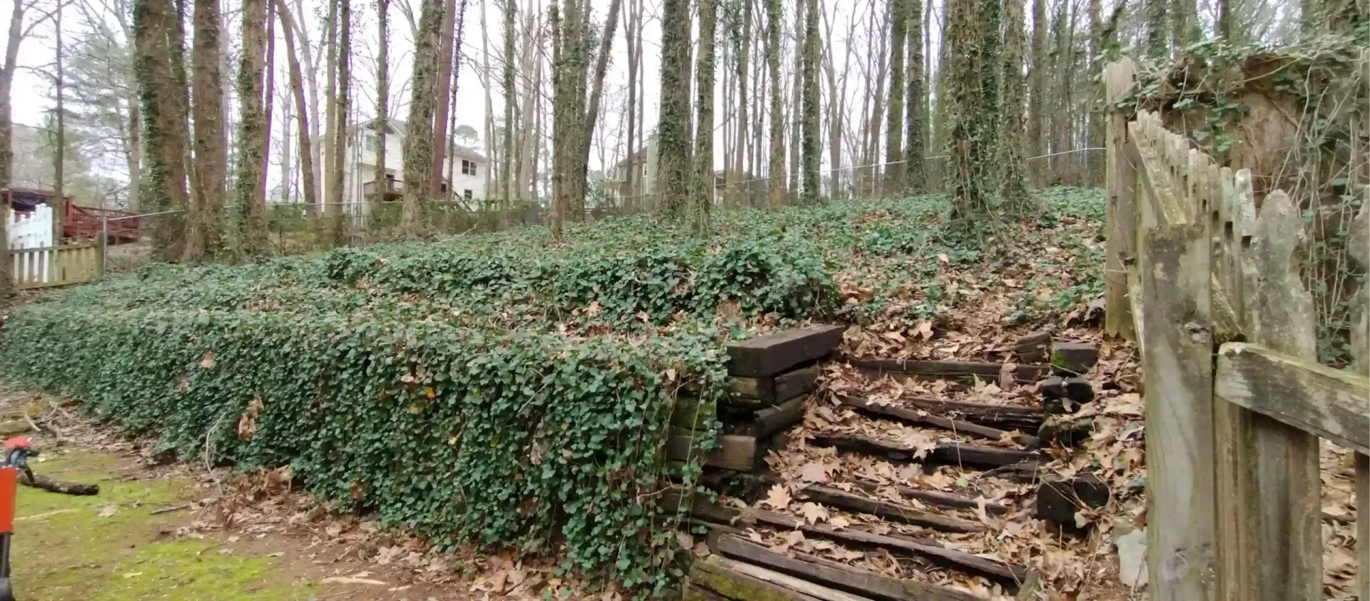 A sloped garden area covered in ivy with a wooden retaining wall and staircase leading into a wooded backyard.