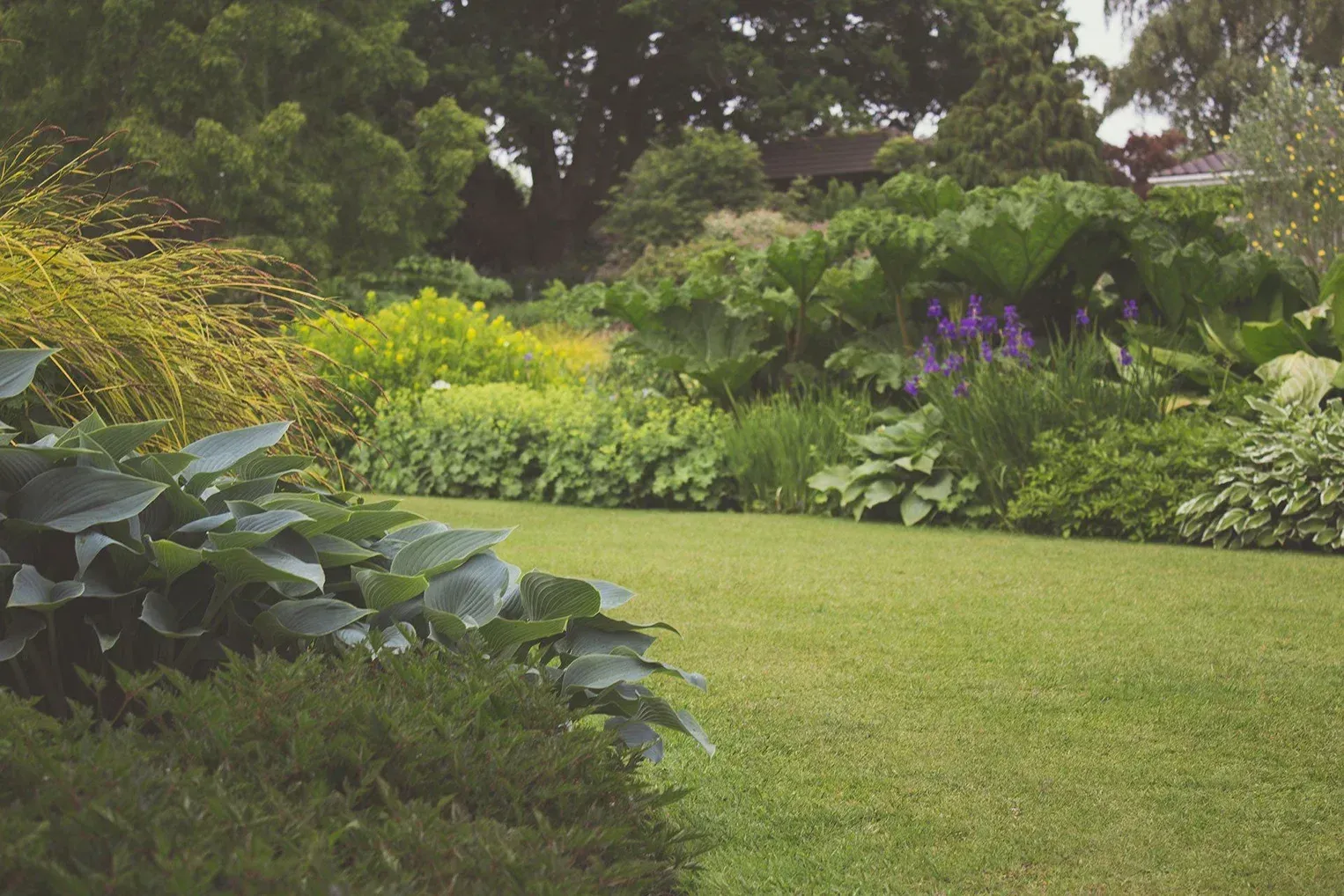 A lush green lawn stretches toward a vibrant garden filled with diverse plants, shrubs, and trees under soft daylight.