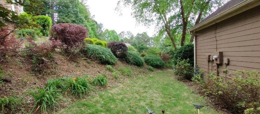 A grassy backyard slopes up to a landscaped hill featuring various green and purple shrubs beside a house side wall.