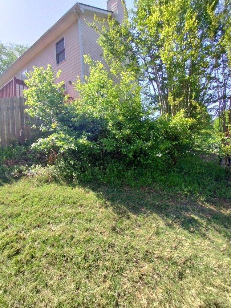 A side view of a residential house with light siding, partially obscured by large, green bushes and trees on a grassy lawn.