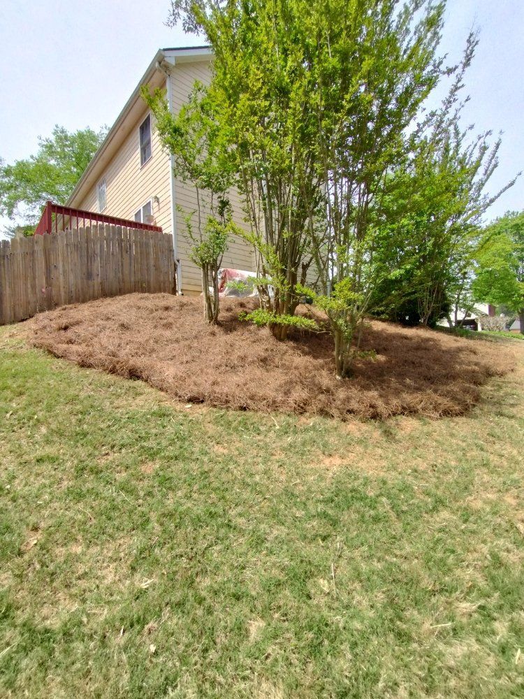 A landscaped bed covered in pine straw surrounds a tree on a grassy hill next to a house with a wooden fence.