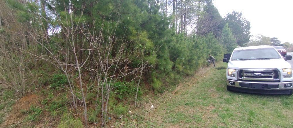 A white pickup truck parked on the grass alongside a line of pine trees.