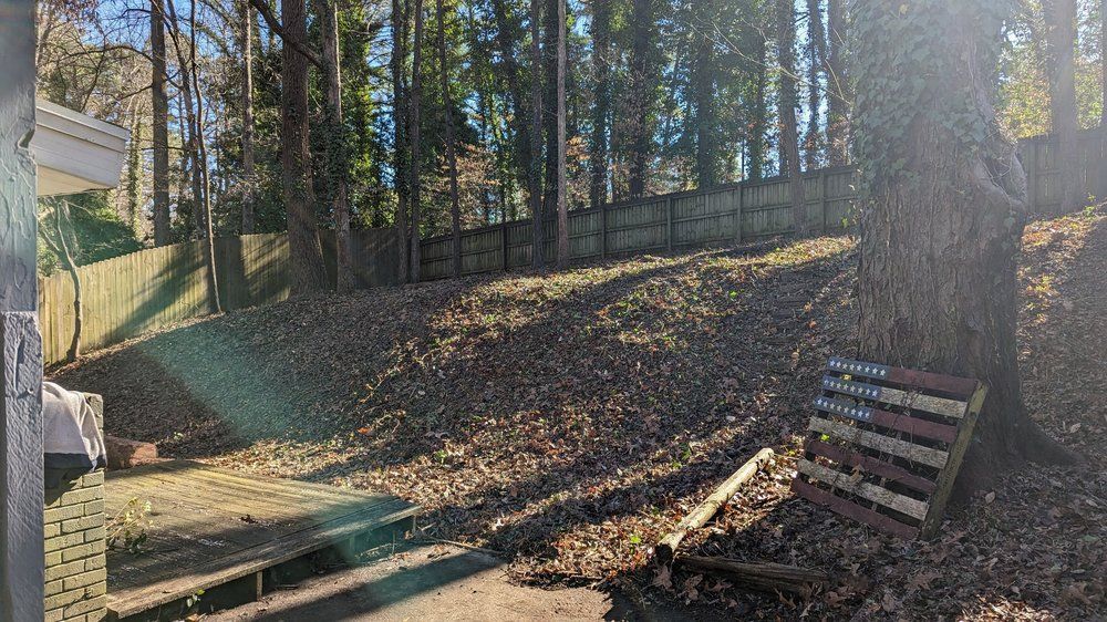 A sunlit backyard hillside covered in brown leaves, with a wooden fence in the back and a painted pallet sign by a tree.