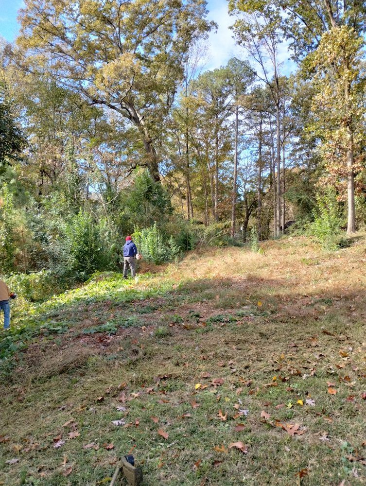 A person in a blue jacket walks through a grassy field with scattered fallen leaves, near a wooded area in autumn.