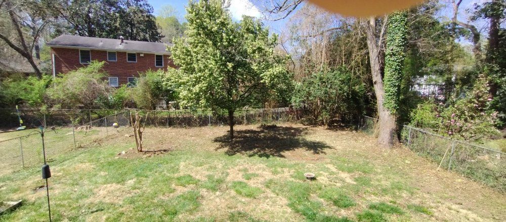 A backyard view of a lawn, a central tree, and a two-story red brick house in the background under a blue sky.