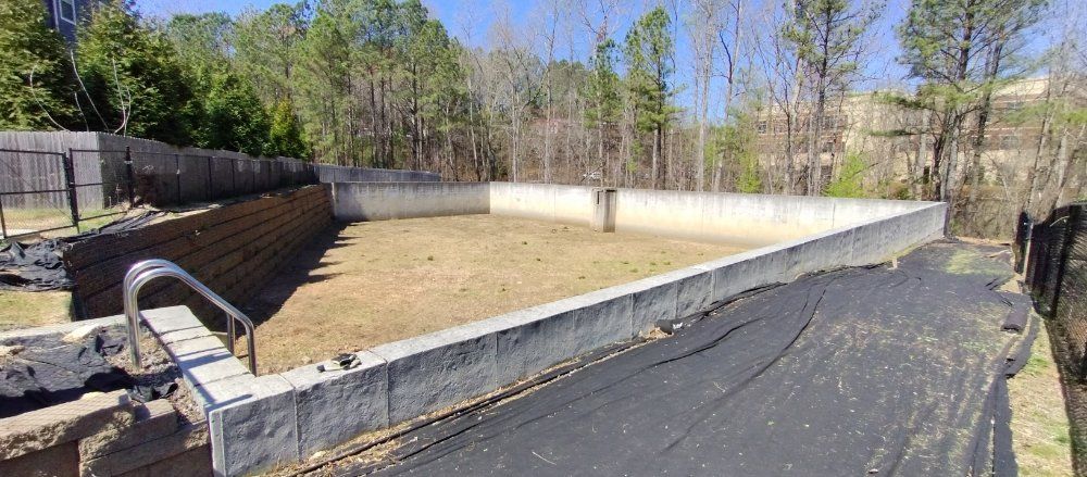 An empty, rectangular swimming pool surrounded by a concrete border and a wood retaining wall in a backyard setting.