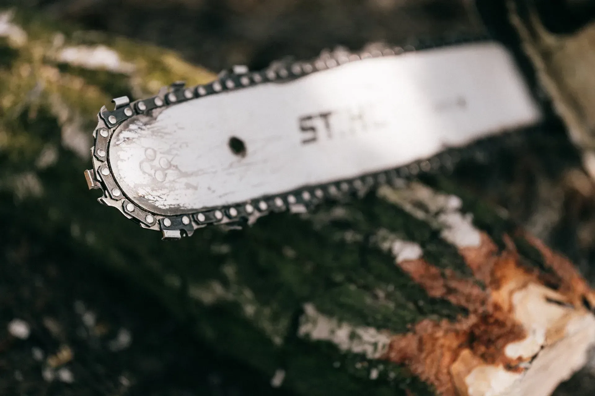 A chainsaw bar with a chain resting on a log in a forest setting.