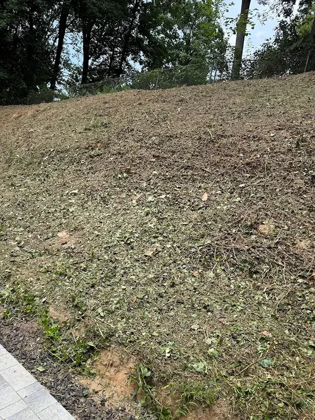 A freshly cleared, steep dirt embankment with scattered plant debris, bordered by a paved walkway at the bottom.