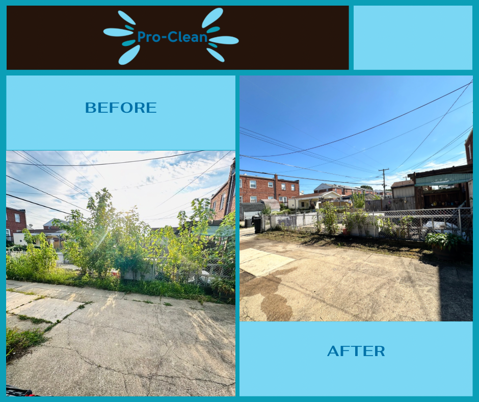 before and after of overgrown weed and vegetation from concrete back yard