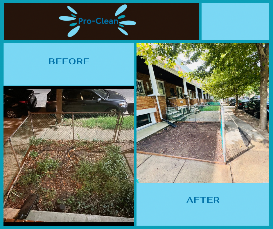before and after weed removal on small front lawn area