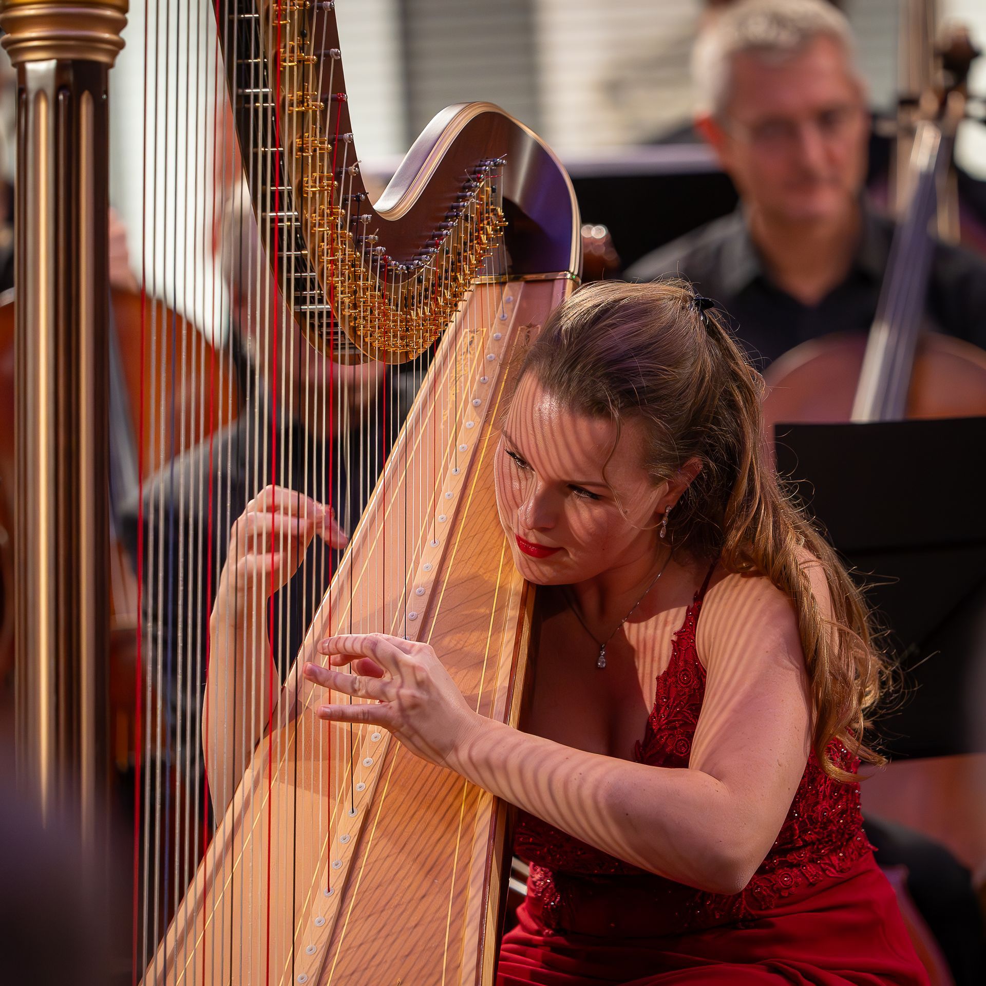 Concerten