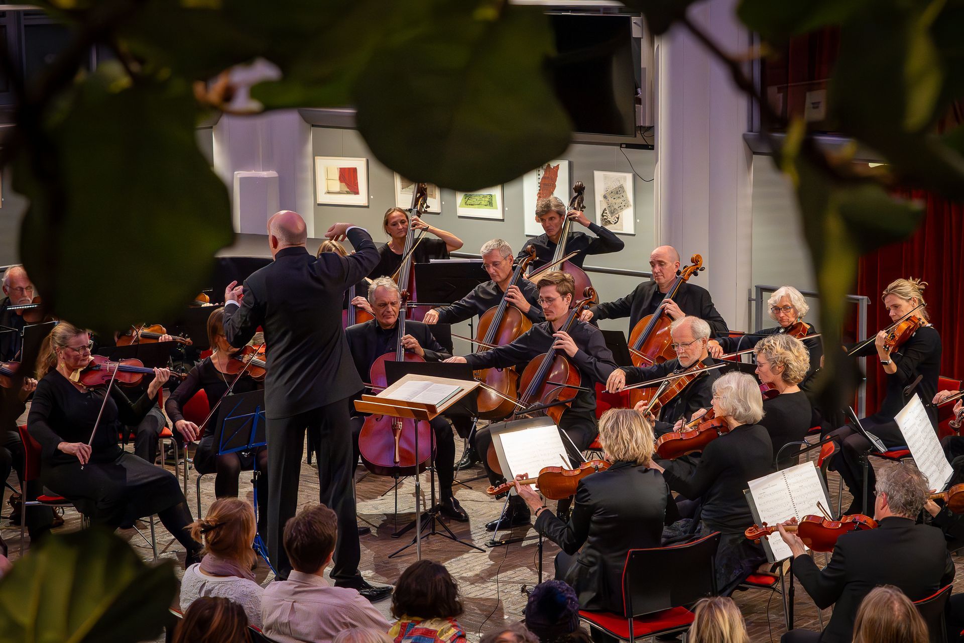Concerten