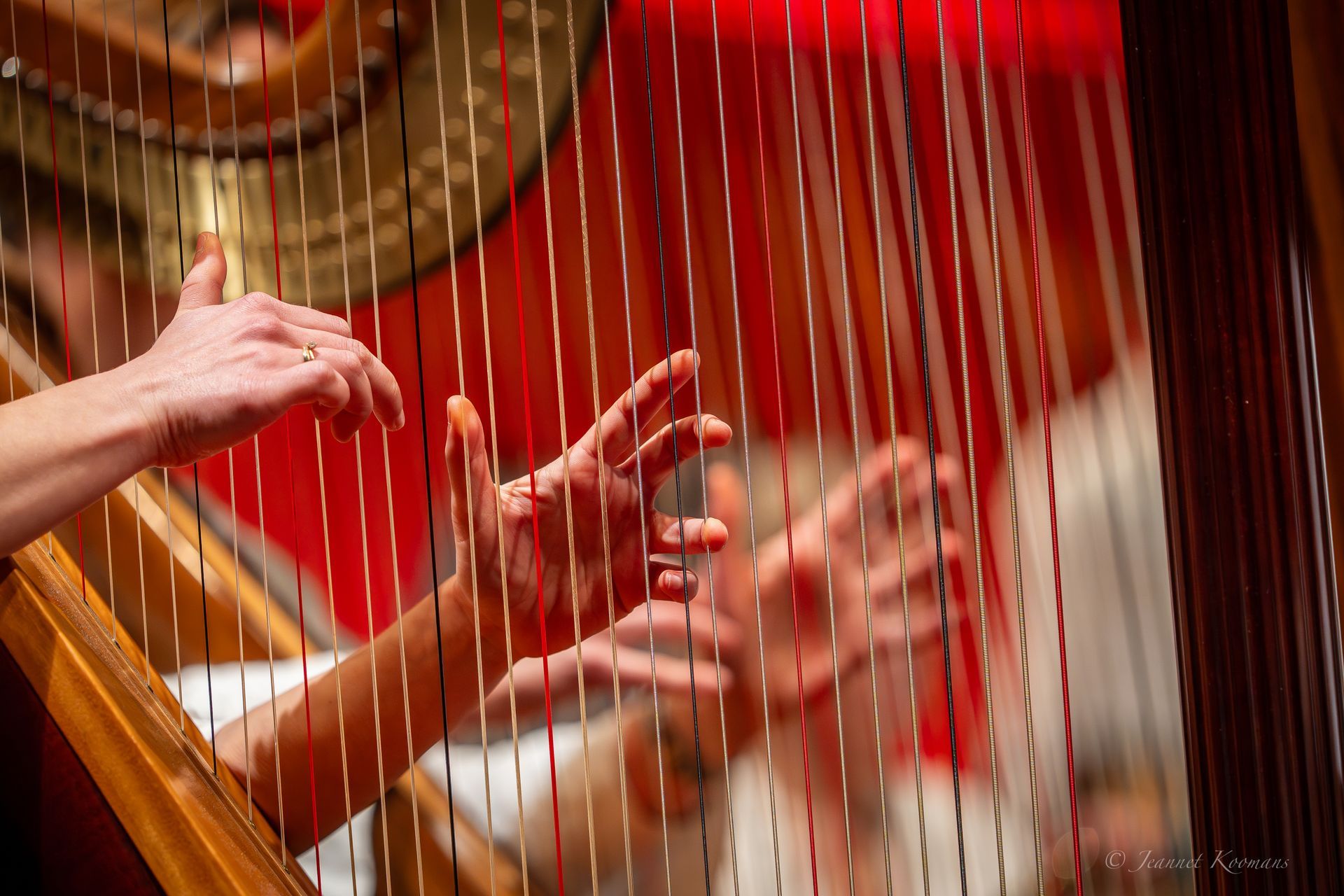 Concerten
