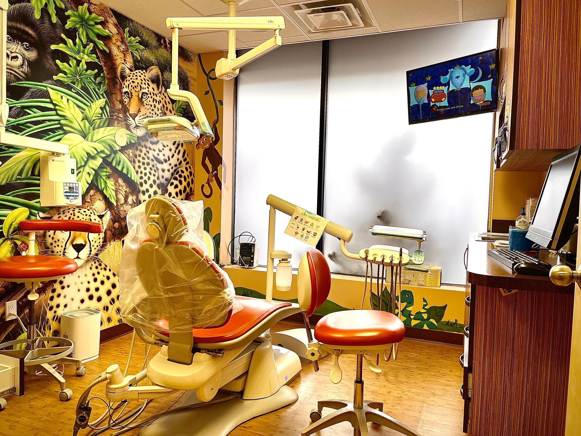 Kiddsmiles  Pediatric Dentistry Treatments, Floral Park, white plains, westchester, manhasset, merrick, holbrook, syosset, port jefferson station, north babylon, nassau county, suffolk county