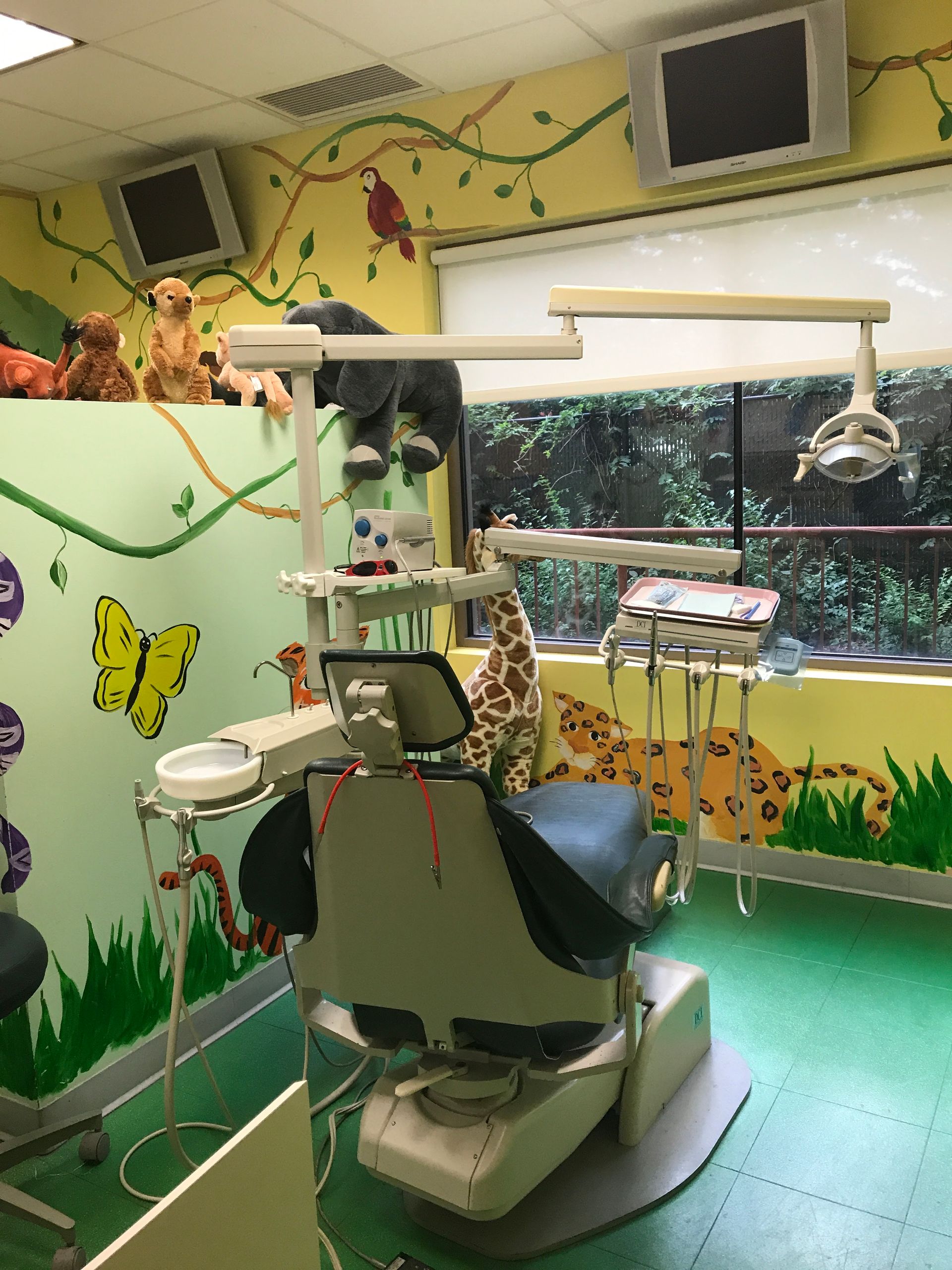 Kiddsmiles  Pediatric Dentistry Treatments, Floral Park, white plains, westchester, manhasset, merrick, holbrook, syosset, port jefferson station, north babylon, nassau county, suffolk county