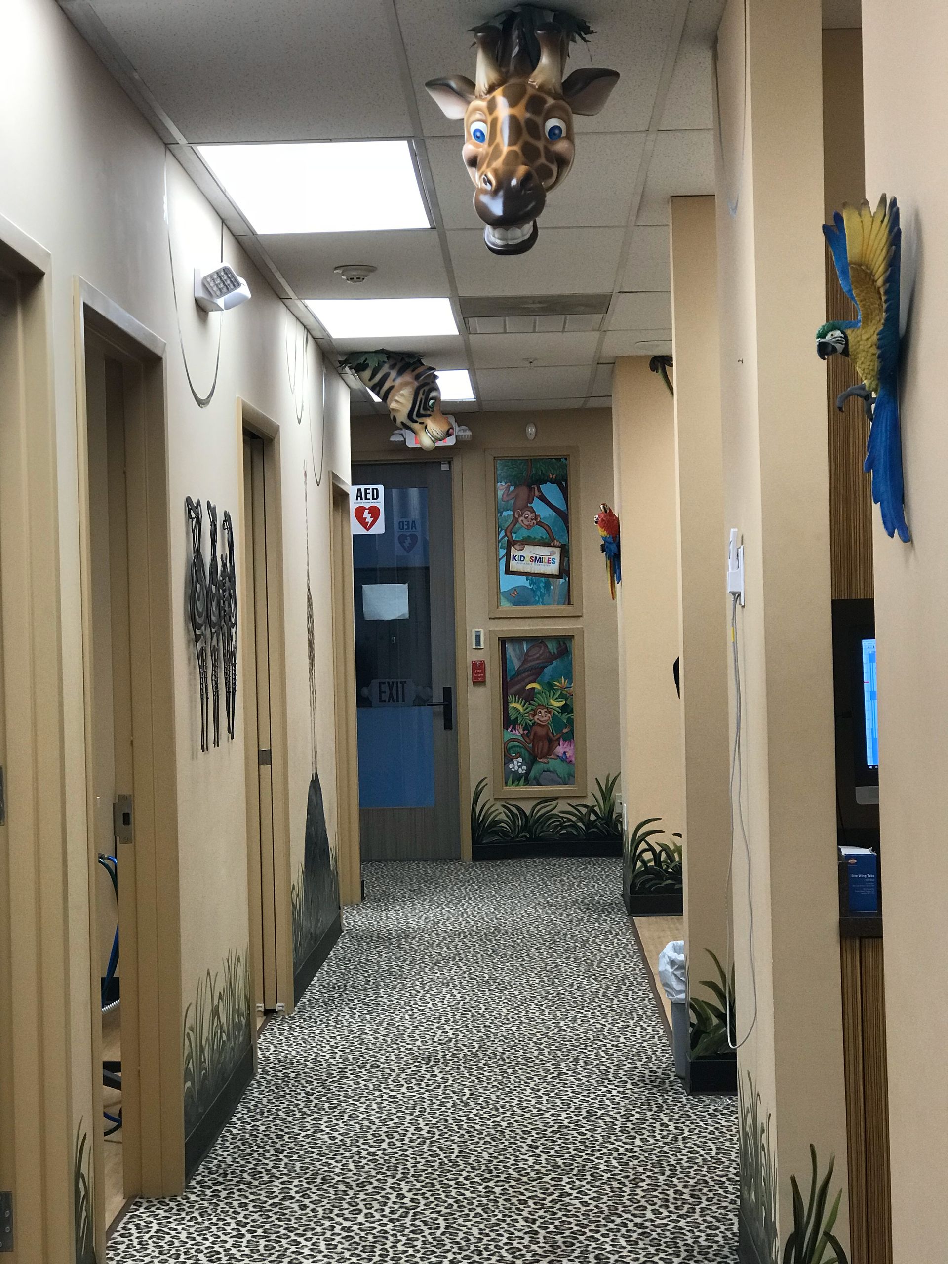 Kiddsmiles Pediatric Dentistry Treatments, Floral Park, white plains, westchester, manhasset, merrick, holbrook, syosset, port jefferson station, north babylon, nassau county, suffolk county