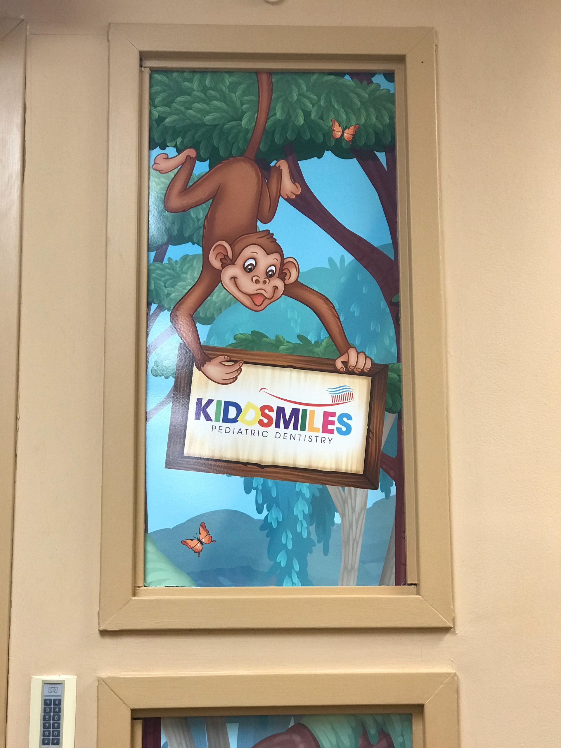 Kiddsmiles Pediatric Dentistry Treatments, Floral Park, white plains, westchester, manhasset, merrick, holbrook, syosset, port jefferson station, north babylon, nassau county, suffolk county