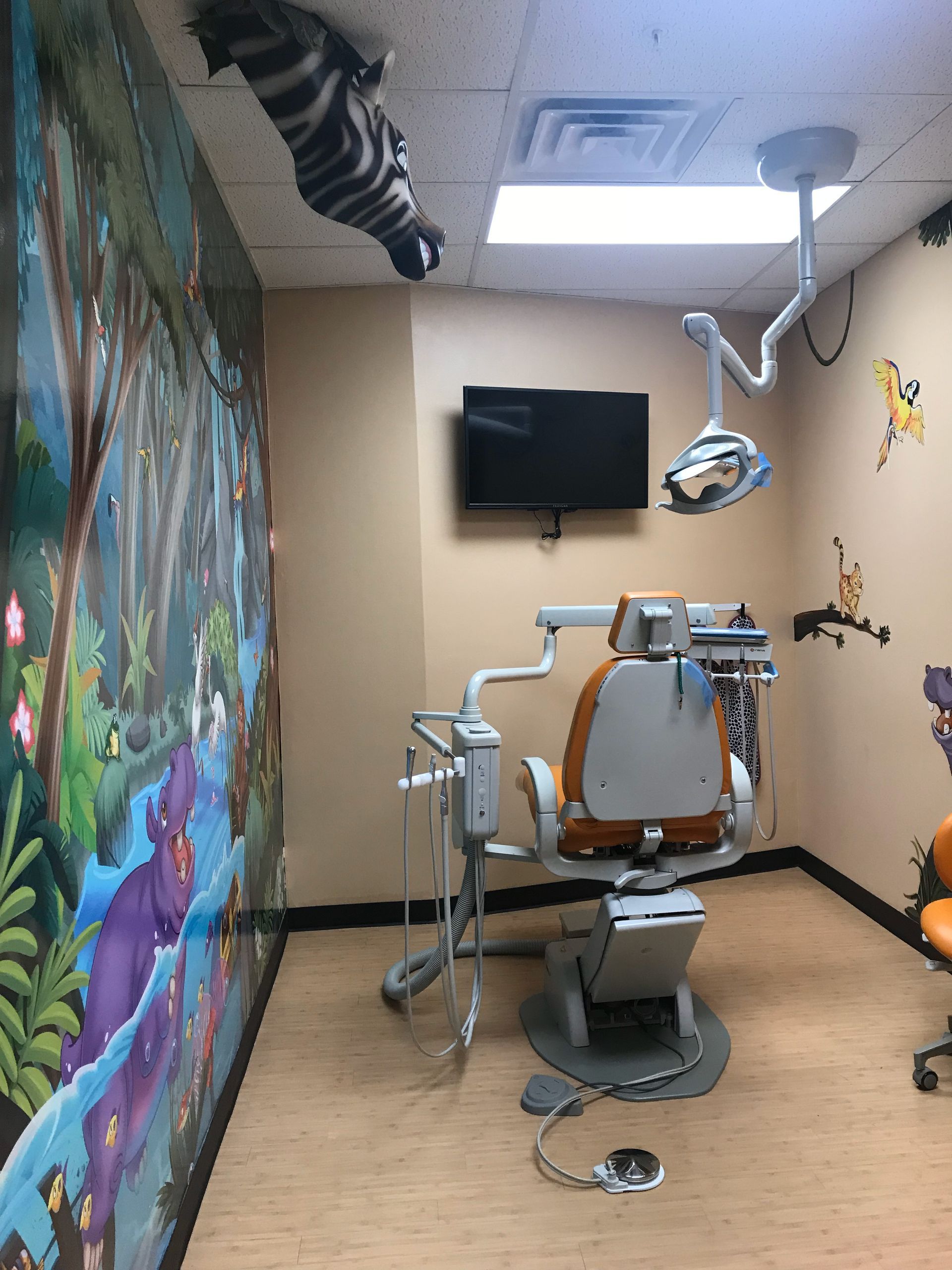 Kiddsmiles Pediatric Dentistry Treatments, Floral Park, white plains, westchester, manhasset, merrick, holbrook, syosset, port jefferson station, north babylon, nassau county, suffolk county
