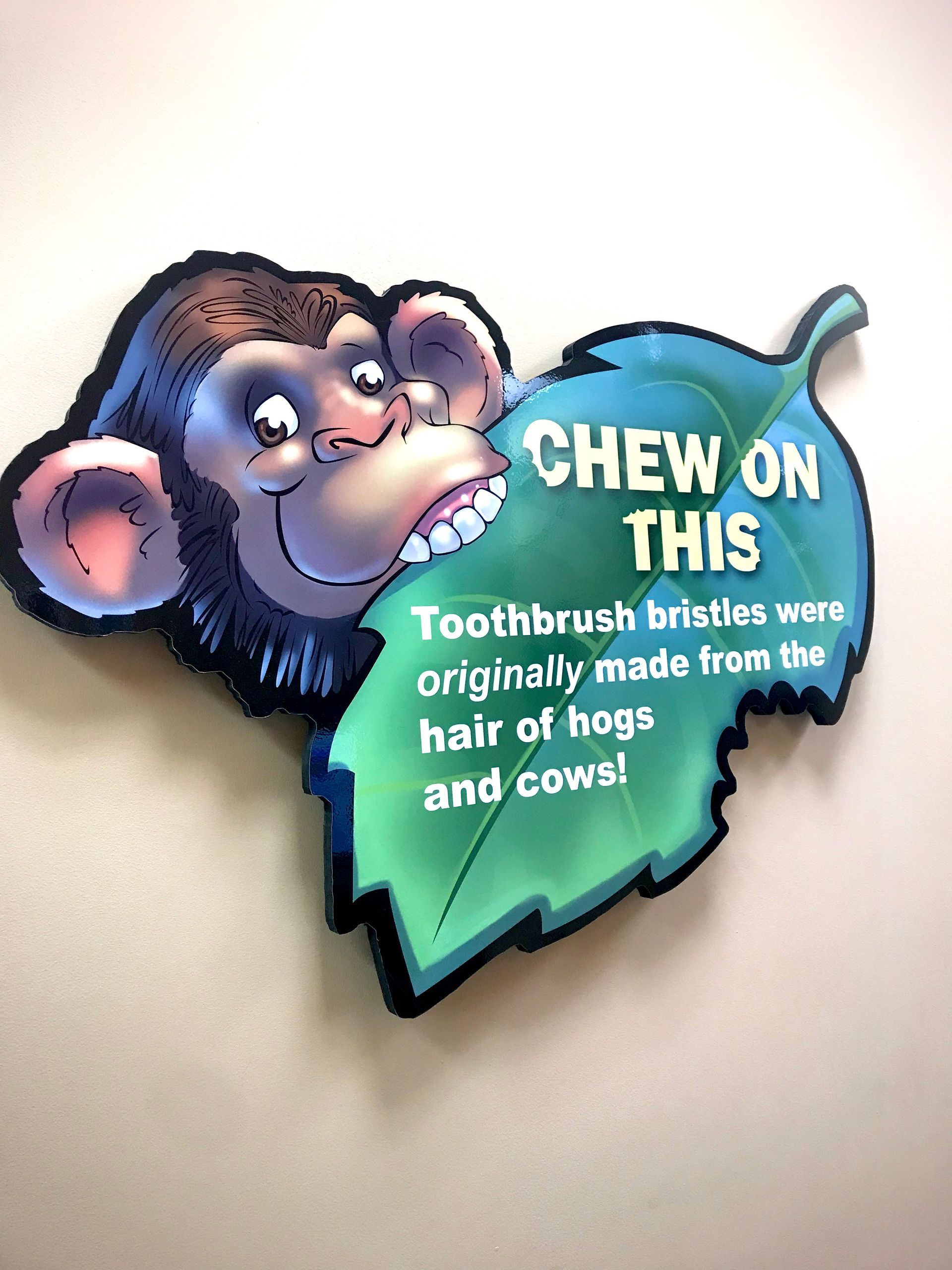 Kiddsmiles Pediatric Dentistry Treatments, Floral Park, white plains, westchester, manhasset, merrick, holbrook, syosset, port jefferson station, north babylon, nassau county, suffolk county