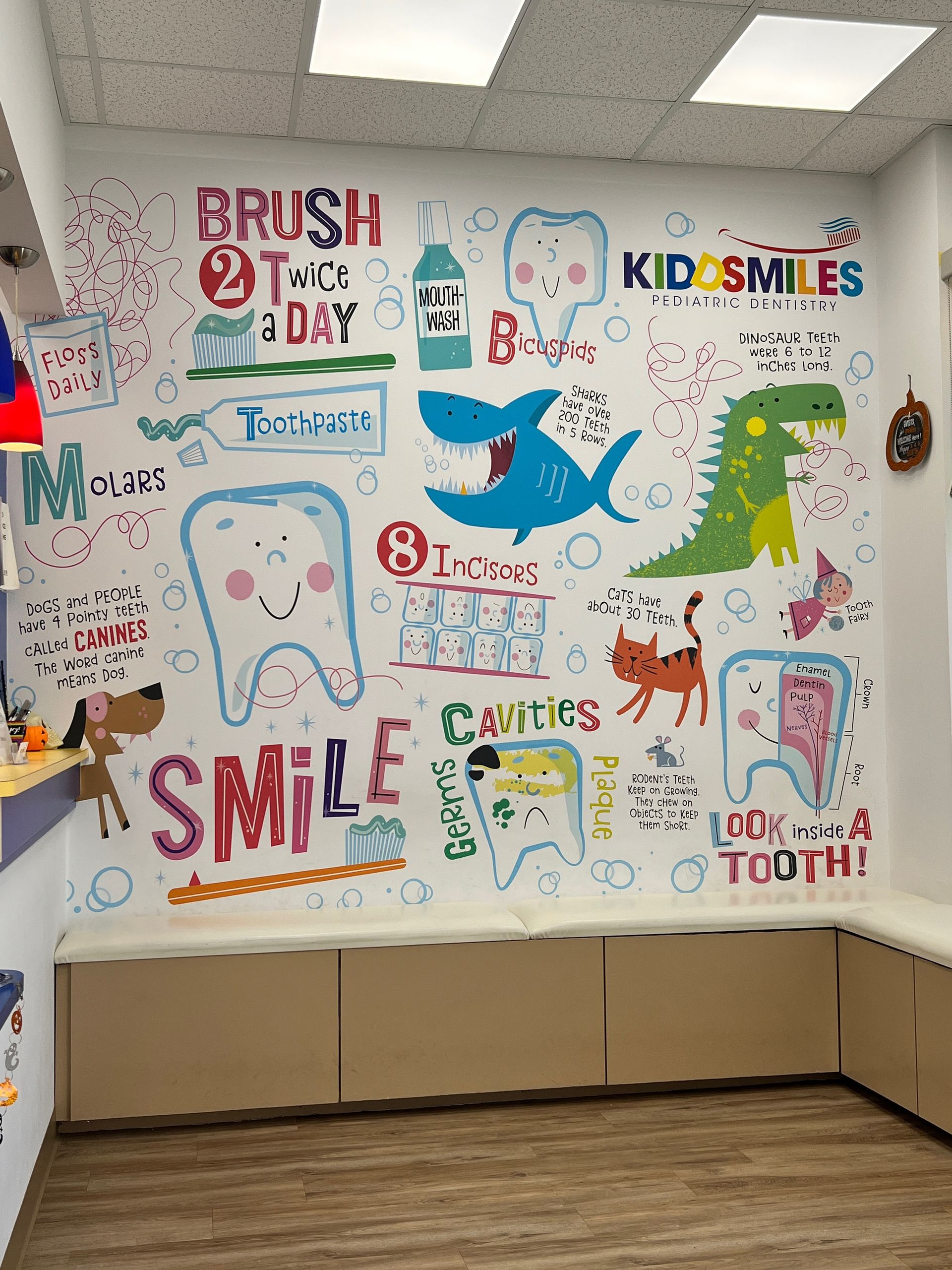 Kiddsmiles Pediatric Dentistry Treatments, Floral Park, white plains, westchester, manhasset, merrick, holbrook, syosset, port jefferson station, north babylon, nassau county, suffolk county